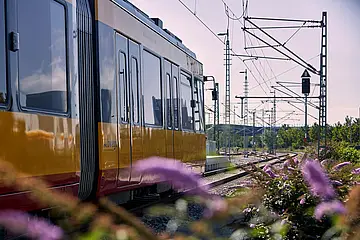 Seitliche Ansicht einer AVG-Stadtbahn mit Blumen im Vordergrund.