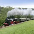 Ein schwarzer Dampfzug fährt zwischen Wald und Wiese.