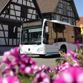 Elsass-Bus