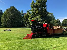 Die rot-schwarte Dampflok "greif" fährt durch den Schlossgarten. Das Gleis verläuft über eine grüne Wise, im Hintergrund sind Menschen und Bäume zu sehen.