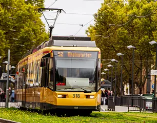 Eine elber trambahn der Linie S2. Im Bildhintergund sind Bäume zu sehen