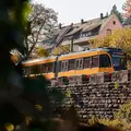Gelbe Stadtbahn fährt über eine Steinerhebung. Links sind Blätter im Bild.