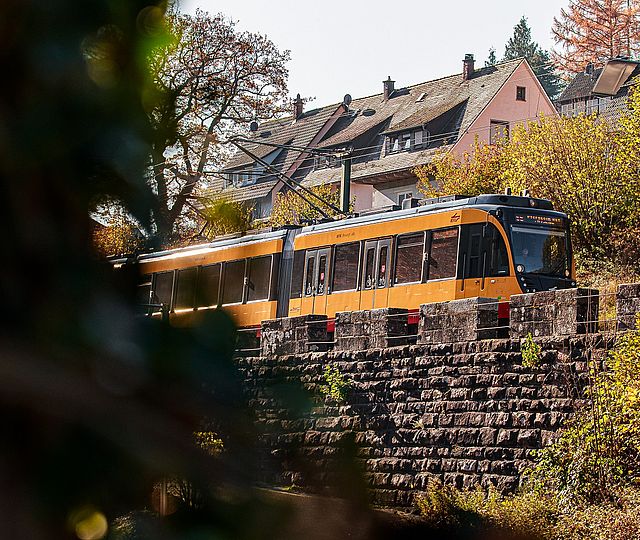 Gelbe Stadtbahn fährt über eine Steinerhebung. Links sind Blätter im Bild.
