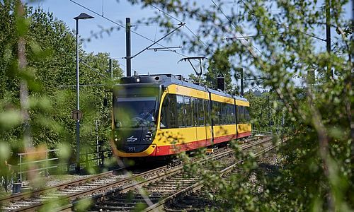 AVG-Stadtbahn auf einem Streckenabschnitt bei Heilbronn. neben den Gleisen wachsen grüne Sträucher.