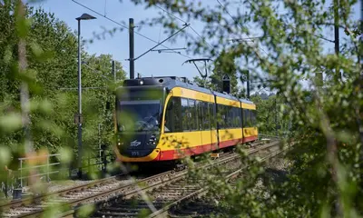 Eine AVG-Stadtbahn fährt im Raum Heilbronn. Äste und Büsche verdecken teilweise den Bildausschnitt.