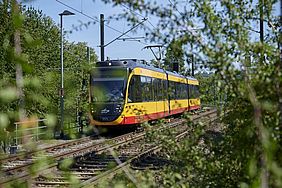 AVG-Stadtbahn auf einem Streckenabschnitt bei Heilbronn. neben den Gleisen wachsen grüne Sträucher.