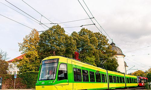 Eine gelb-grüne Niederflurbahn der Albtal-Verkehrs-Gesellschaft auf ihrer Fahrt durch Ettlingen. Im Hintergrund steht ein grüner Baum.