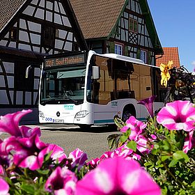 Neue Busverbindung ins Elsass