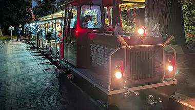 Schossgartenbahn als Halloween-Bahn dekoriert.