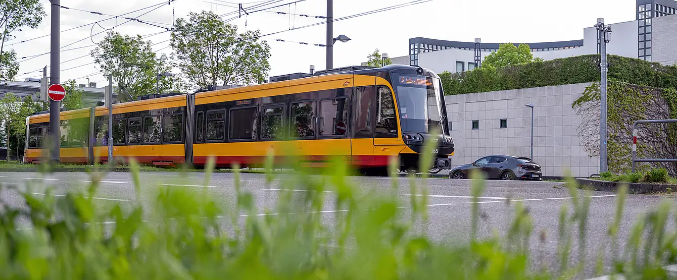 Eine Trambahn der VBK fährt durch die Brauerstraße. Im Hintergrund ist das Gebäude des Generalbundesanwalt beim Bundesgerichtshof zu sehen.