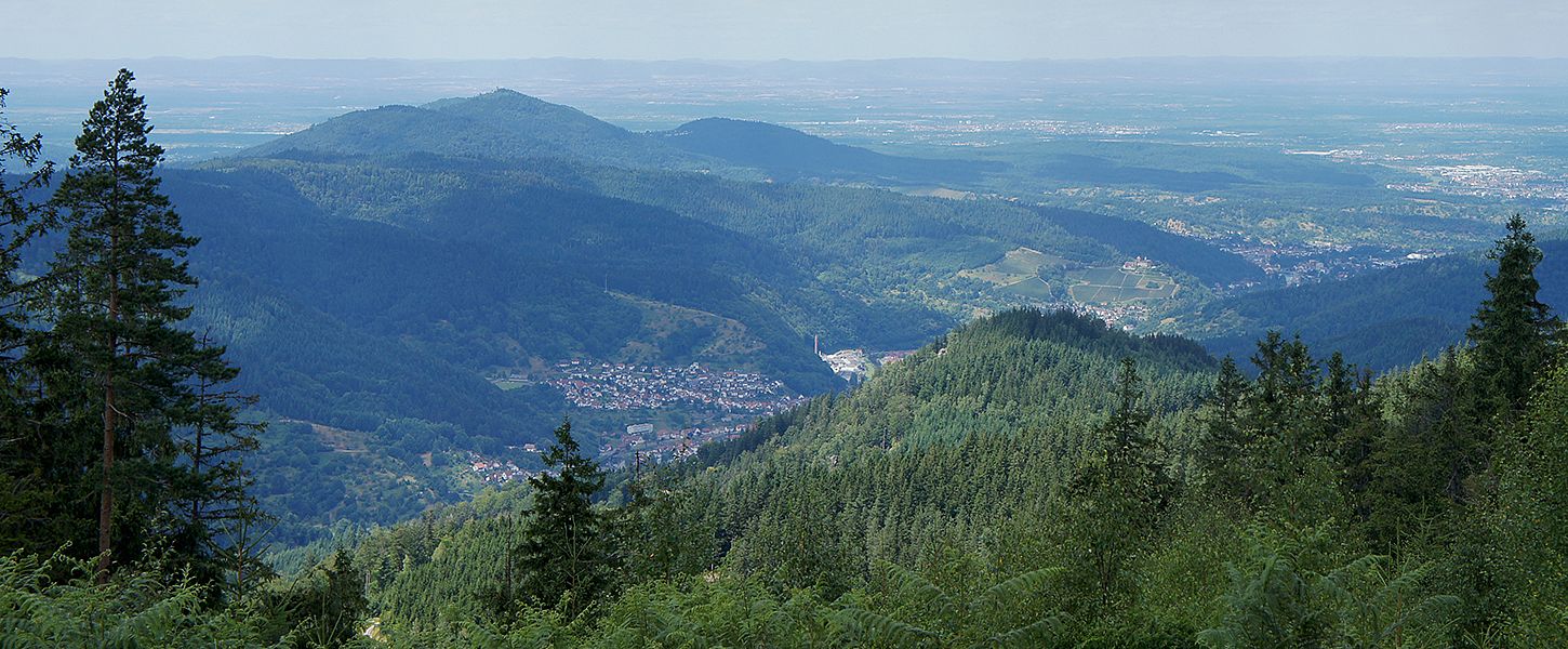 Panorama über Berge des Schwarzwaldes an einem sonnigen Tag.