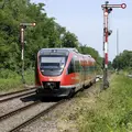 Eine Regionalbahn fährt am Waldrand entlang.