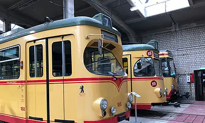 Seitliche Ansicht der historischen Fahrzeuge des TSNV.