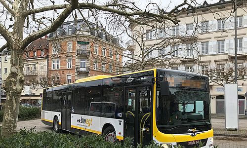 Ein Bus in den Farben Schwarz, Gelb und Weiß auf dem Augustaplatz in Baden-Baden. Im Hitergrund sind Häuser zu sehen, links ein Baum.