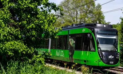 Eine grüne Stadtbahn der AVG auf einem bewaldeten Streckenabschnitt. Die Bahn wirbt mit dem Slogan "Die AVG fährt mit Ökostrom - Null CO2" 