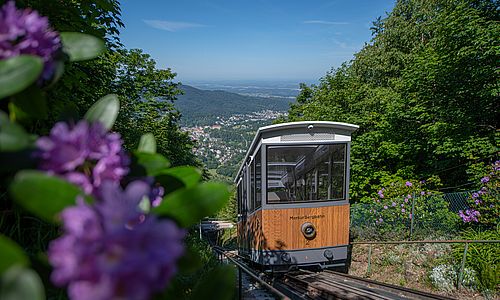 Die MerkurBergbahn in Baden-Baden