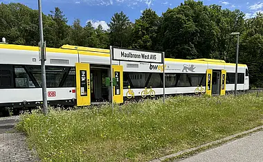 Seitliche Ansicht eines bwegt-Zuges in der Natur.