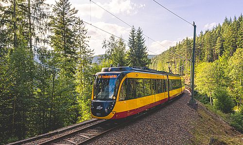 Eine AVG-Stadtbahn der Linie S8 auf einem bewaldeten Streckenabschnitt im Murgtal