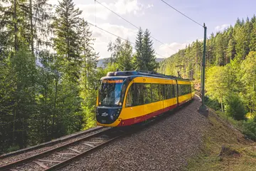 Eine AVG-Stadtbahn der Linie S8 auf einem bewaldeten Streckenabschnitt im Murgtal