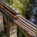 Eine Bahn der KVV fährt über ein Viadukt im Schwarzwald.