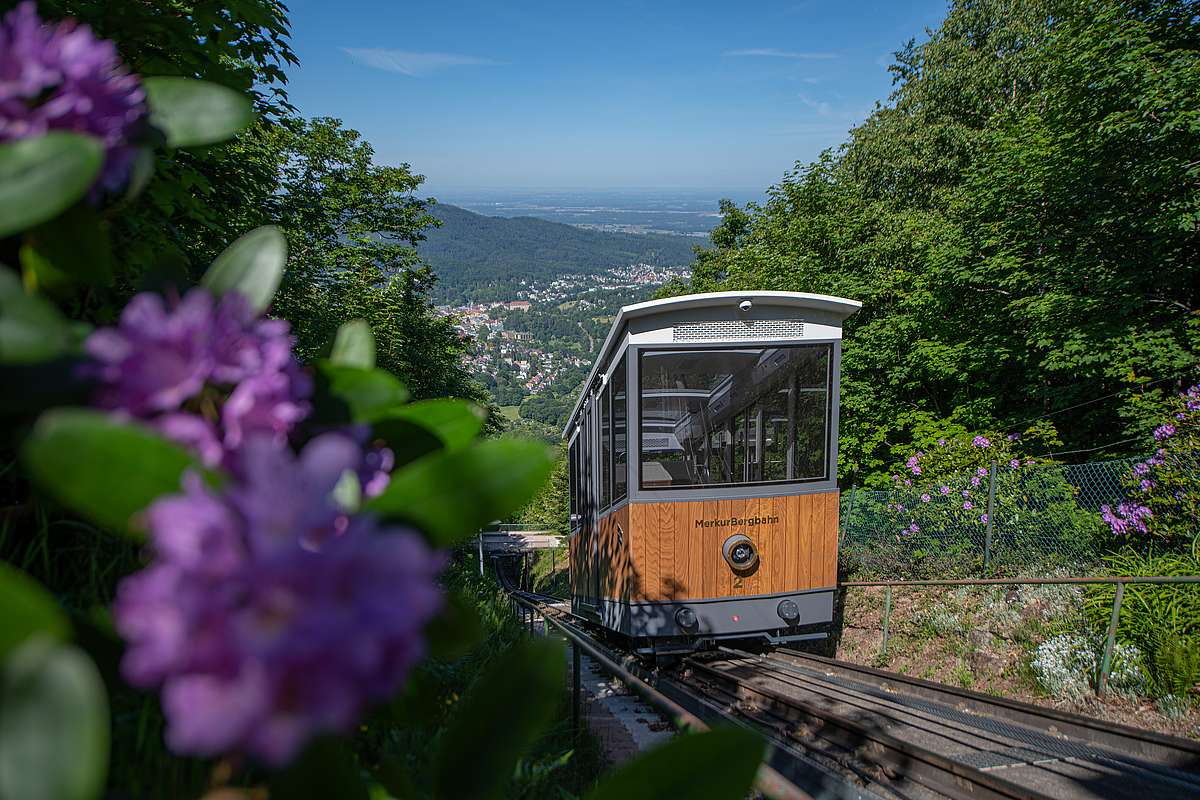 KVV Karlsruher Verkehrsverbund Bahn und Bus MerkurBergbahn