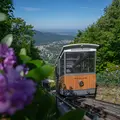 Die Merkur Bergbahn auf ihrem Weg den Berg hinauf. 
