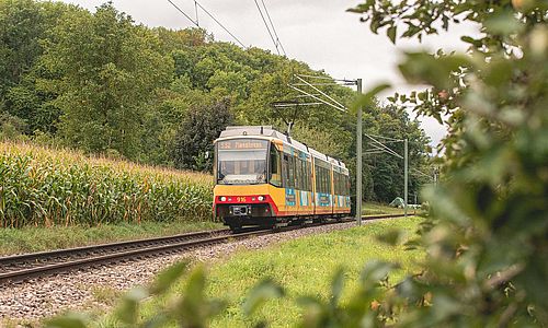 Eine Stadtbahn der AVG fährt fährt auf der Kraichgaubahn. Am Bildrand sind ein Mais-Feld und bewaldete Hügel zu sehen.