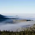 Nebel über einem Nadelwaldgebiet