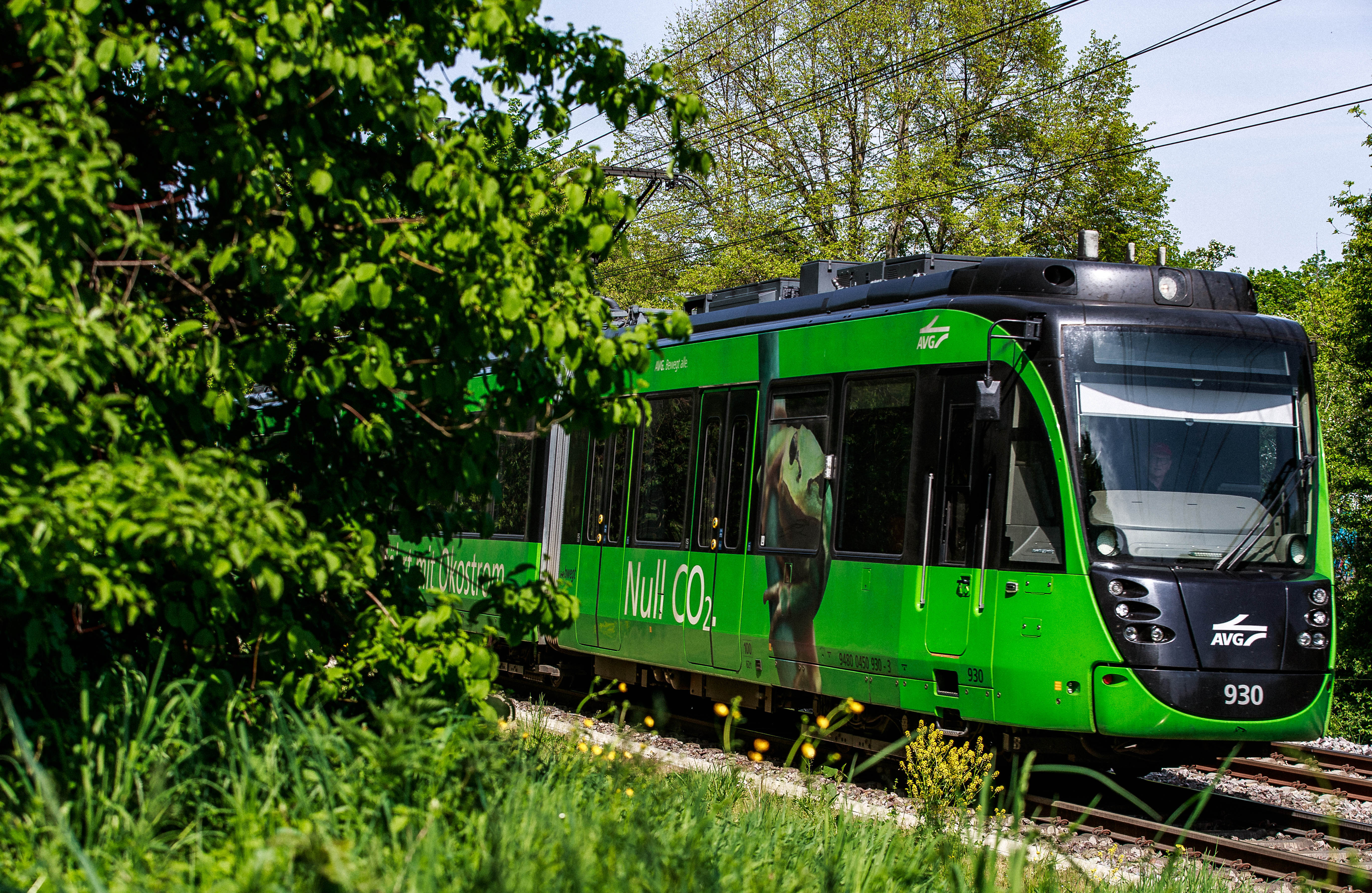 Eine grüne Stadtbahn der AVG auf einem bewaldeten Streckenabschnitt. Die Bahn wirbt mit dem Slogan "Die AVG fährt mit Ökostrom - Null CO2" 